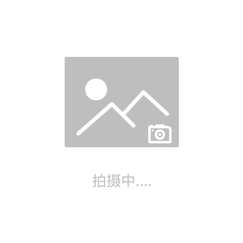恩威雅Envea臭氧分析儀O342M全新未使用已過保